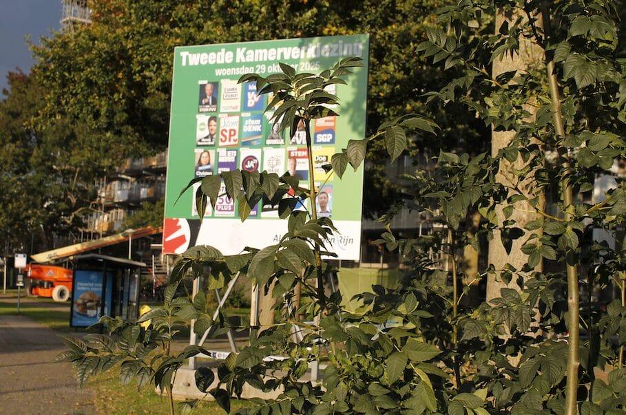 Afbeelding van Column